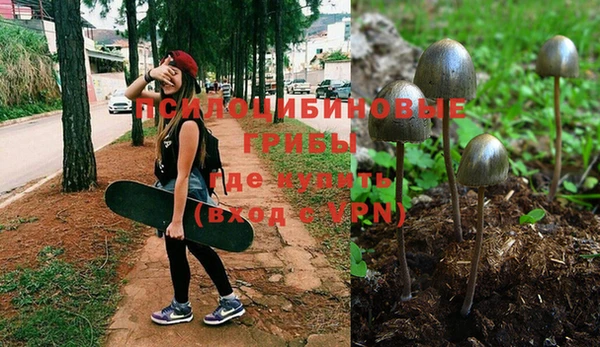 прущие крисы Медногорск
