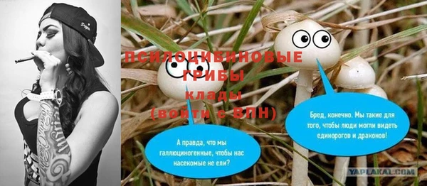 прущие крисы Медногорск